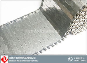 不锈钢传送带与丝网制品 茄盒油炸输送机及进出口业务全解析