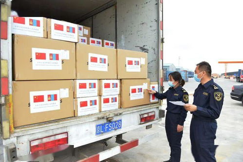 呼和浩特海关 强化监管优化服务，全力保障防疫物资及丝网制品进出口高效通关